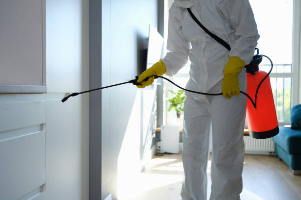 Best Mold Cleaning Services  in Zolfo Springs, FL