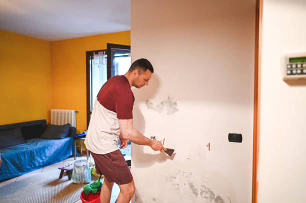Best Mold Removal Near Me  in Zolfo Springs, FL